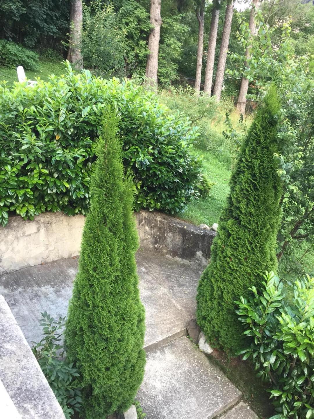 Il Piccolo Castello בוסטאני מראה חיצוני תמונה